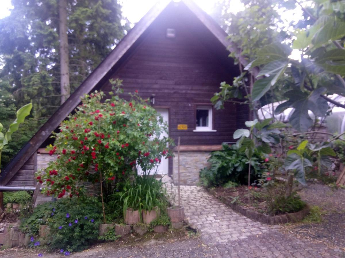 Maison Bois "Alaska" Рошкорбон Екстер'єр фото
